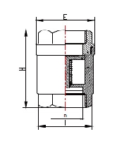 2 Piece Stainless Steel Spring Check Valve