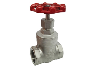 Stainless Steel Gate Valve