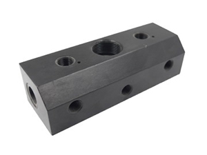 Manifold